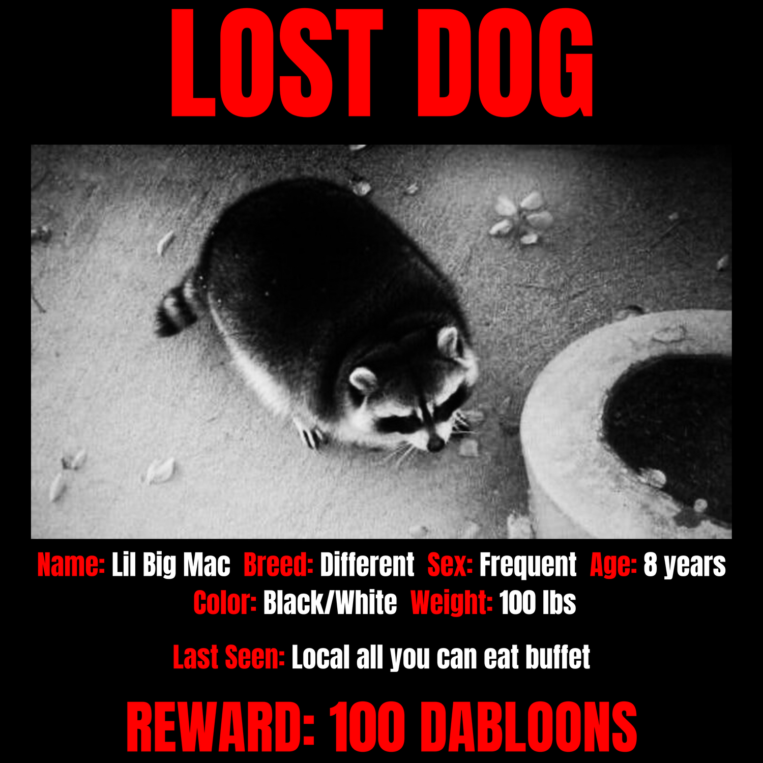 Lost Dog
