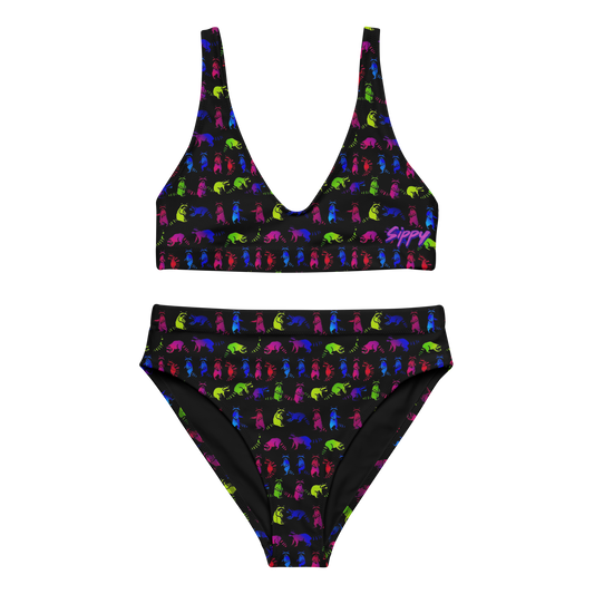 All The Raccs High-Waisted Bikini