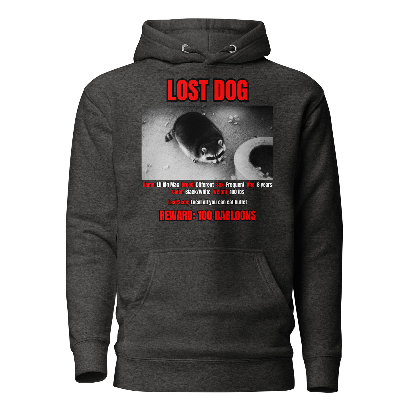 Lost Dog Hoodie