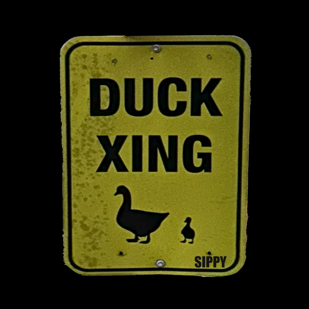 Duck Xing