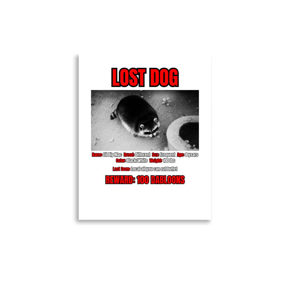 Lost Dog Poster