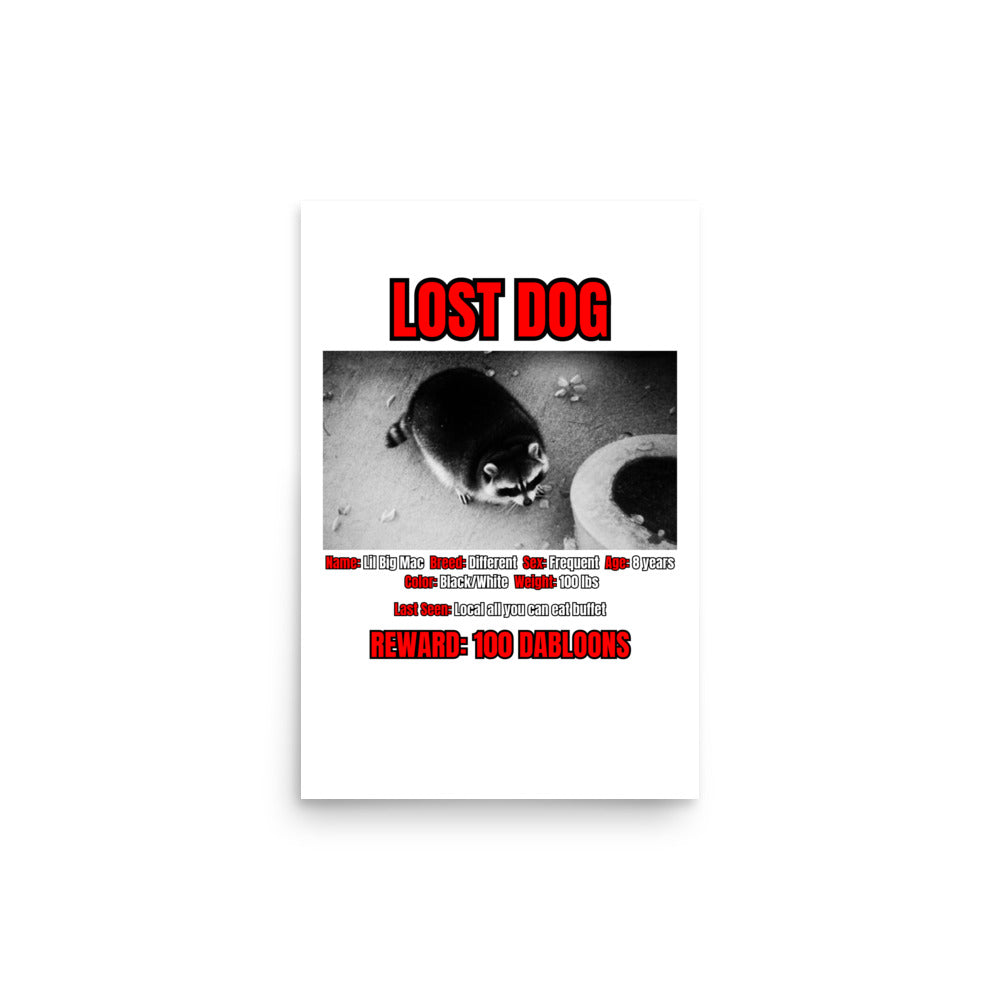 Lost Dog Poster