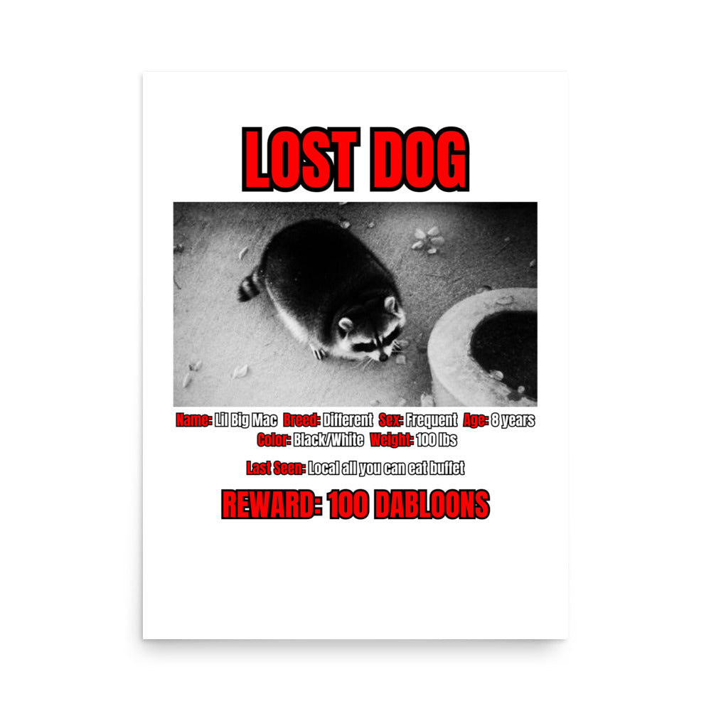 Lost Dog Poster