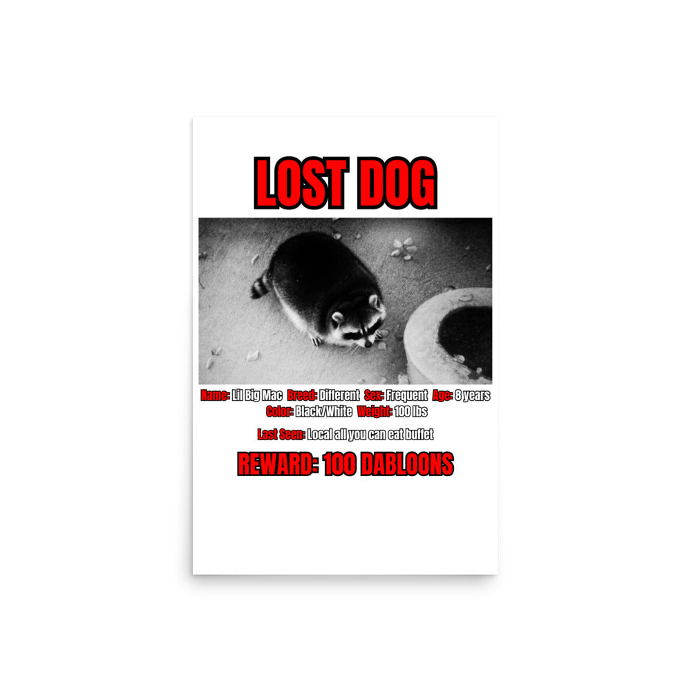 Lost Dog Poster