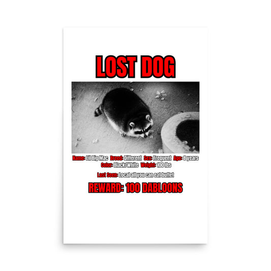 Lost Dog Poster